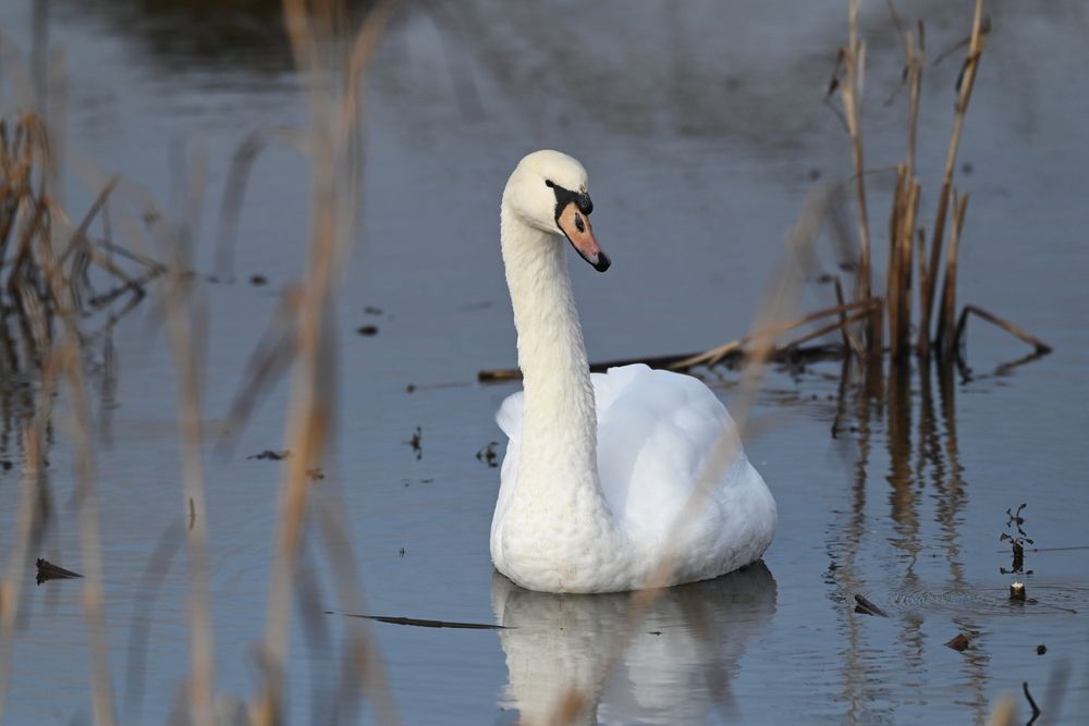 Фотография автора Сергей Сморчков
