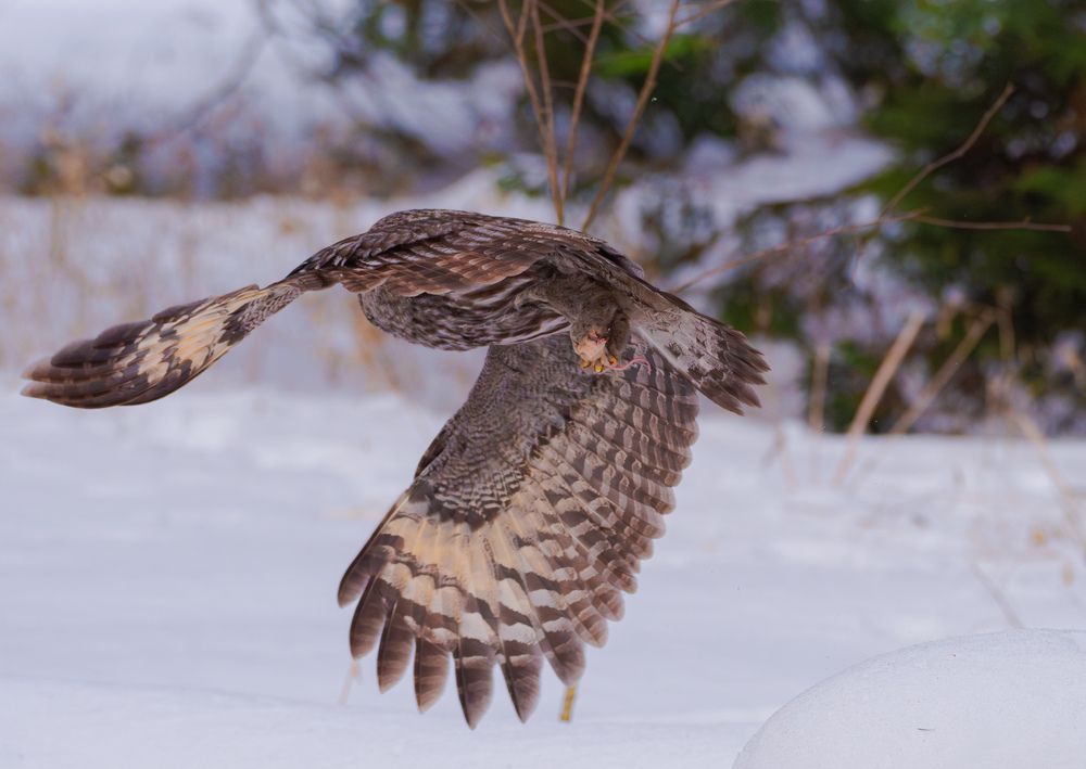 Фотография автора Сергей Сморчков