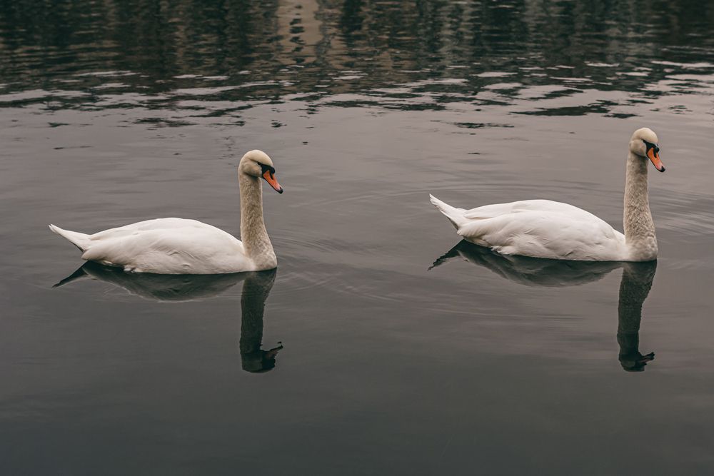 Фотография автора Марина Кожемякина