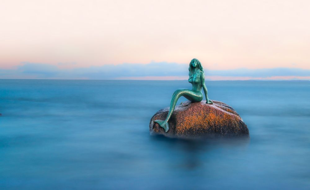 Photograph by Alex Mackintosh