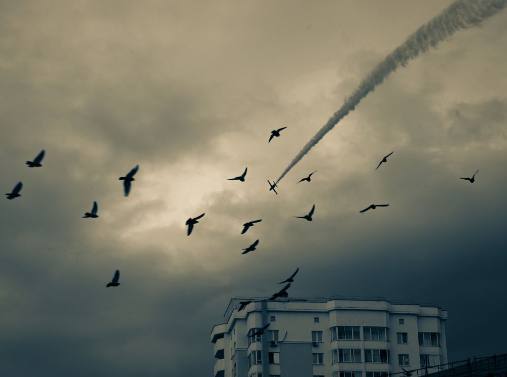 Photograph by Сергей Цветков