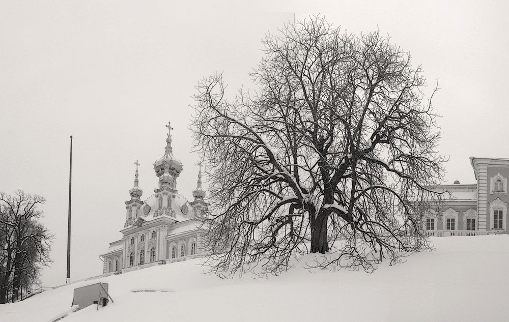 Photograph by Сергей Григорьев