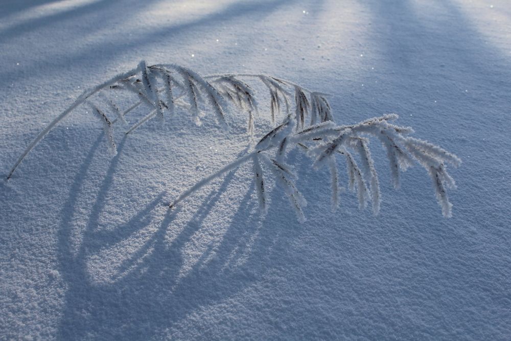Photograph by Юлия