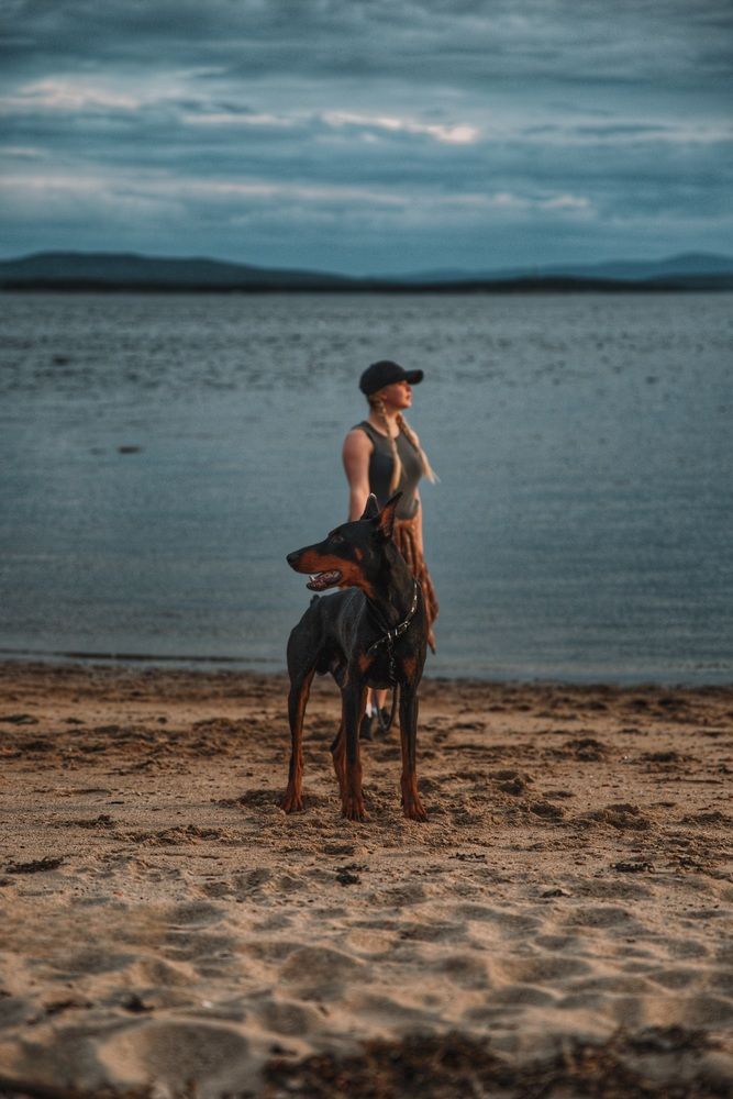 Photograph by Альвина Кузнецова