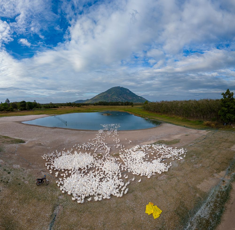 Photograph by May Nguyễn