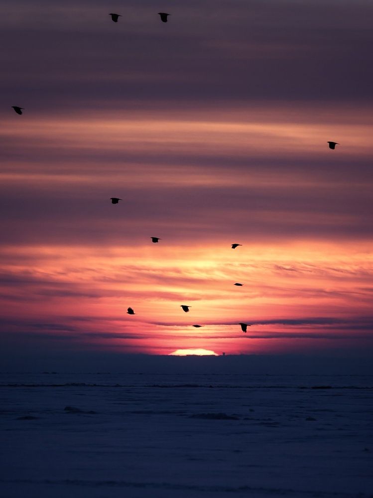 Photograph by Игорь Шамин