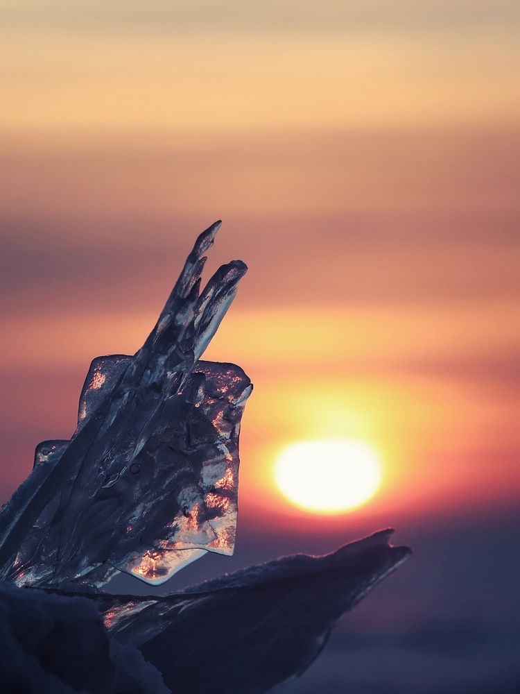 Photograph by Игорь Шамин