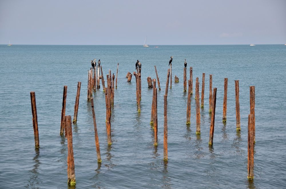 Photograph by Анастасия Артёменко