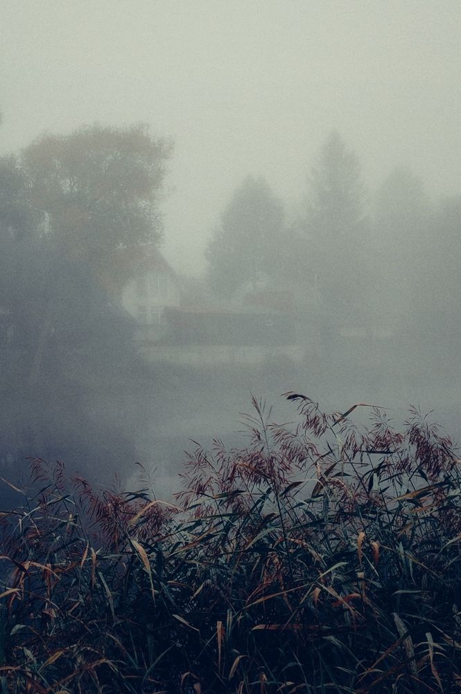 Photograph by Юлия
