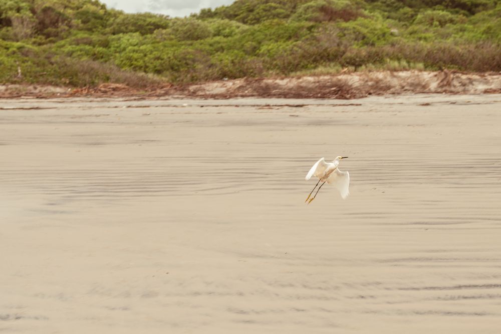 Photograph by ZE AMERICO