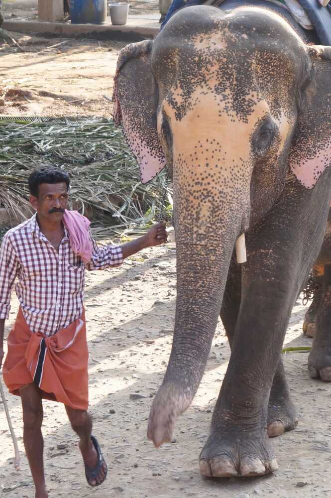 Photograph by Ambewadikar sourabh