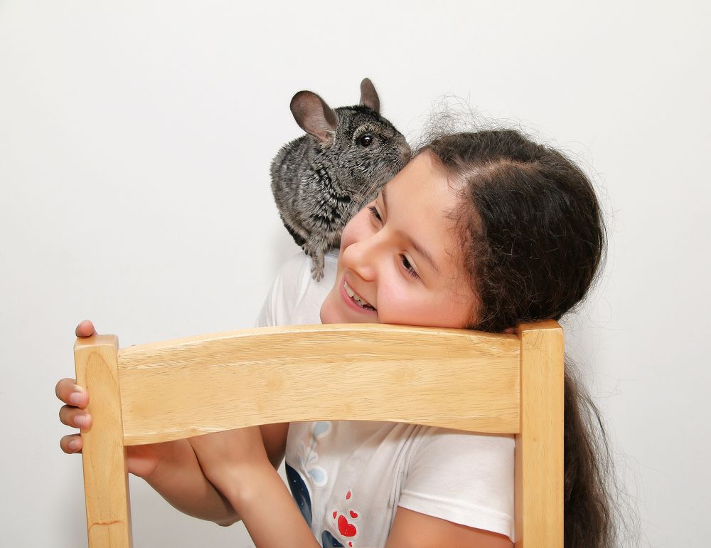 Фотография автора Елена Лаврова