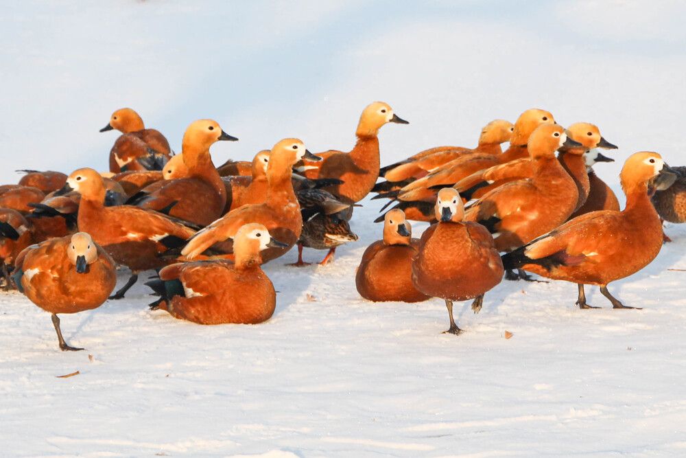 Фотография автора Наталия Козлова