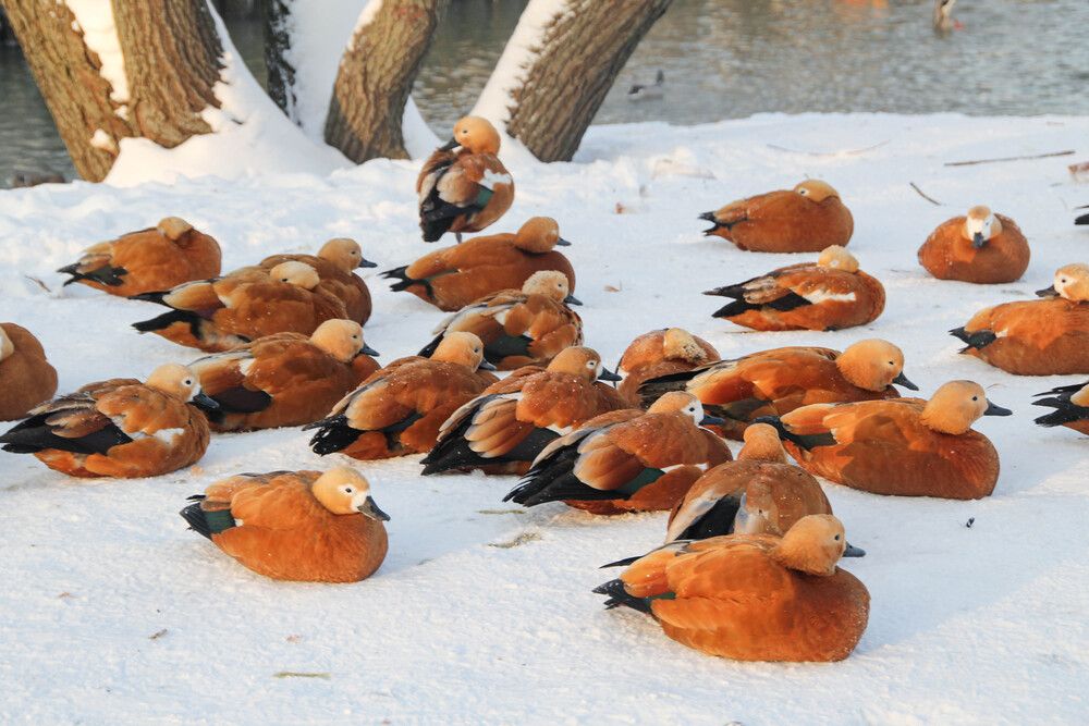 Фотография автора Наталия Козлова