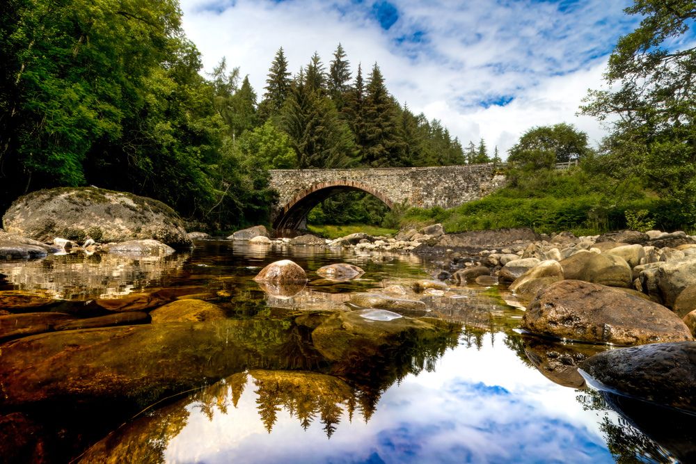 Photograph by Alex Mackintosh