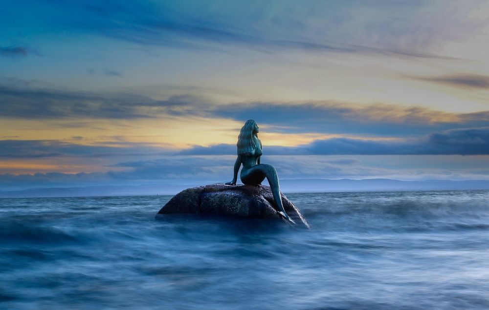 Photograph by Alex Mackintosh