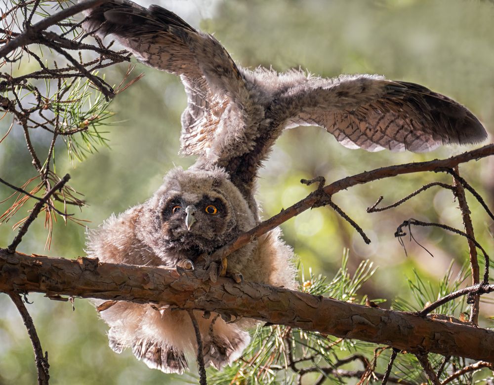 Под зонтиком.