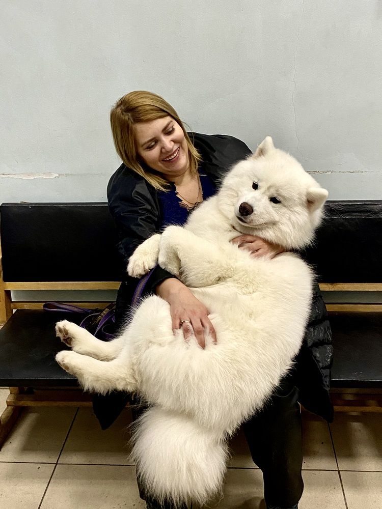 Photograph by Татьяна Шитлина