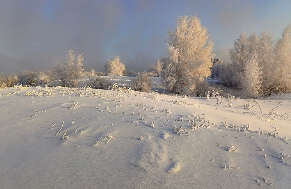 Фотография автора Александр Попов