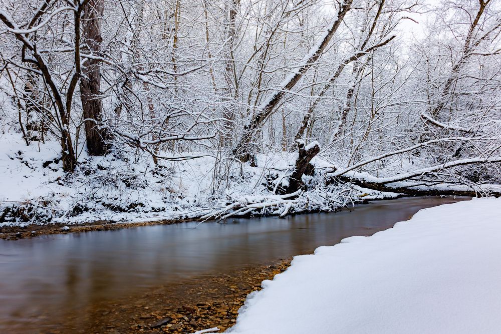 Фотография автора Igor Maksimenko