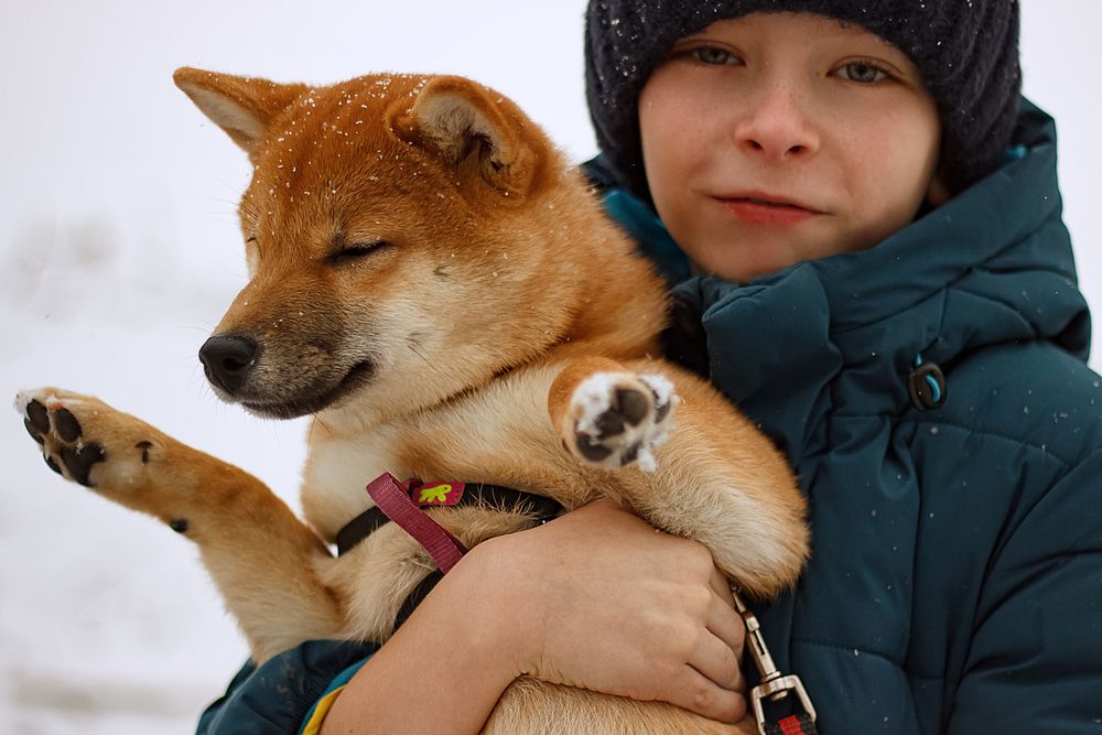 Photograph by Екатерина Будакова