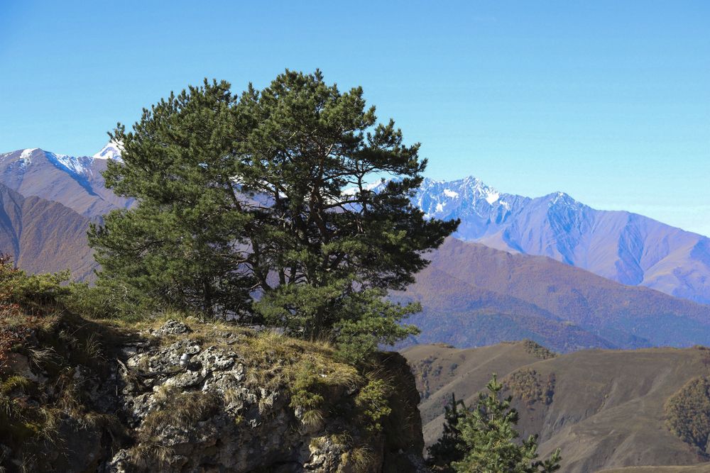 Перевал Цей-Лоам.