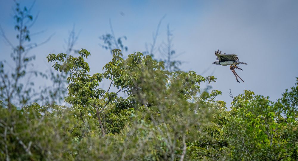Photograph by Alberto Camardiel