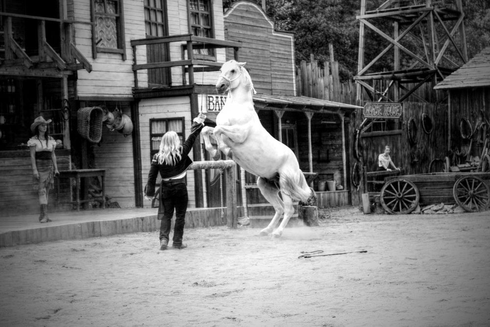 Photograph by Magdalena Kolenicova