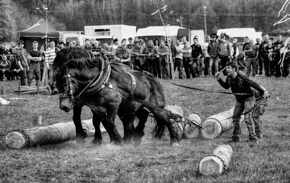 Photograph by Magdalena Kolenicova