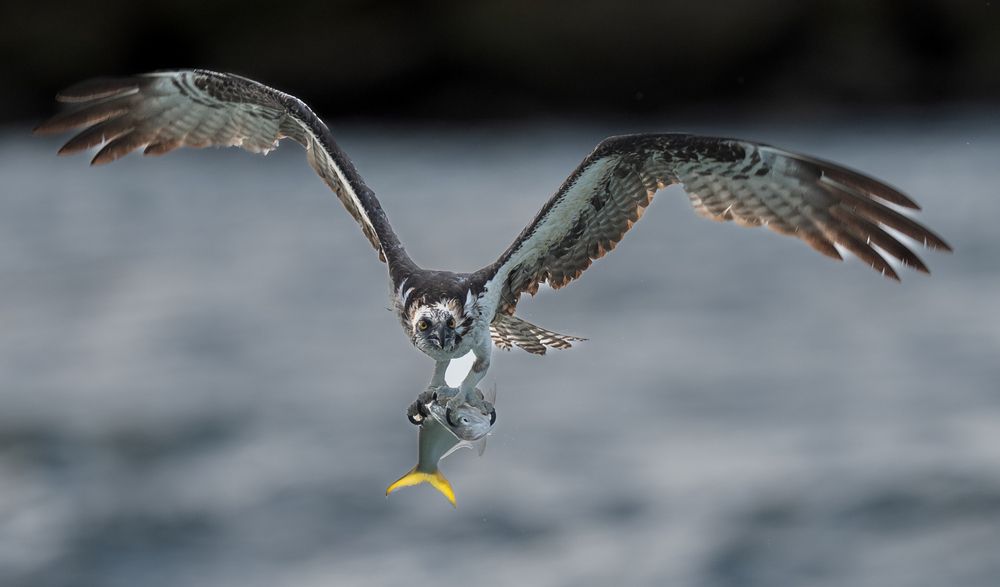 Photograph by Alberto Camardiel