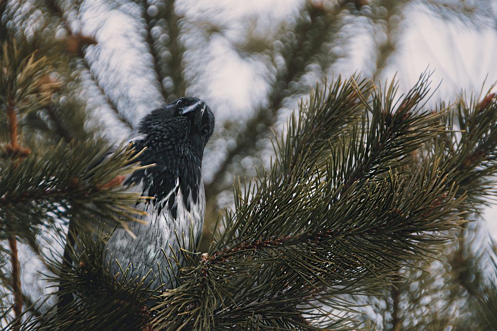 Photograph by Катерина Гест