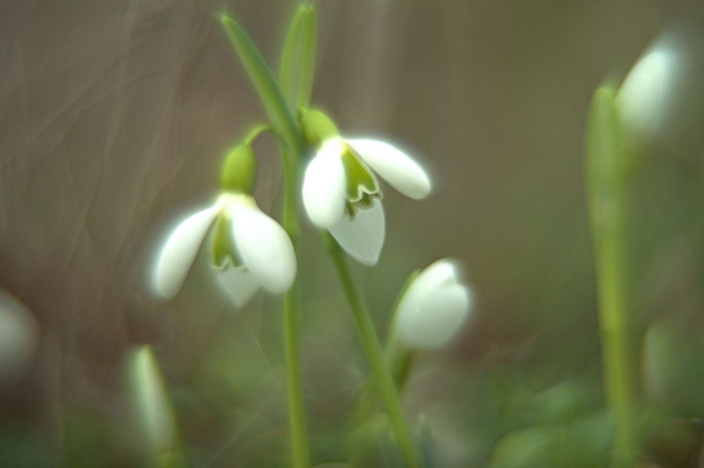 Photograph by Загуменнов Максим