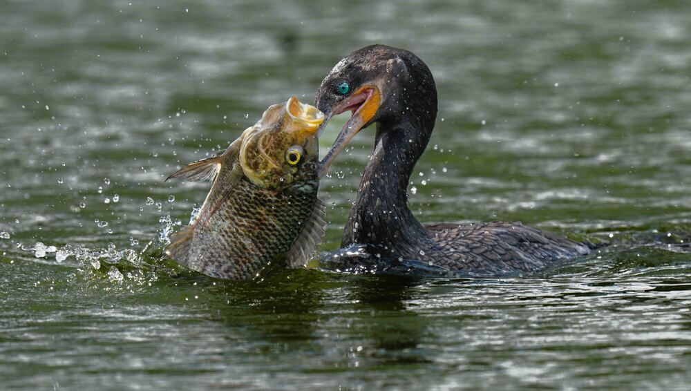 Photograph by Alberto Camardiel