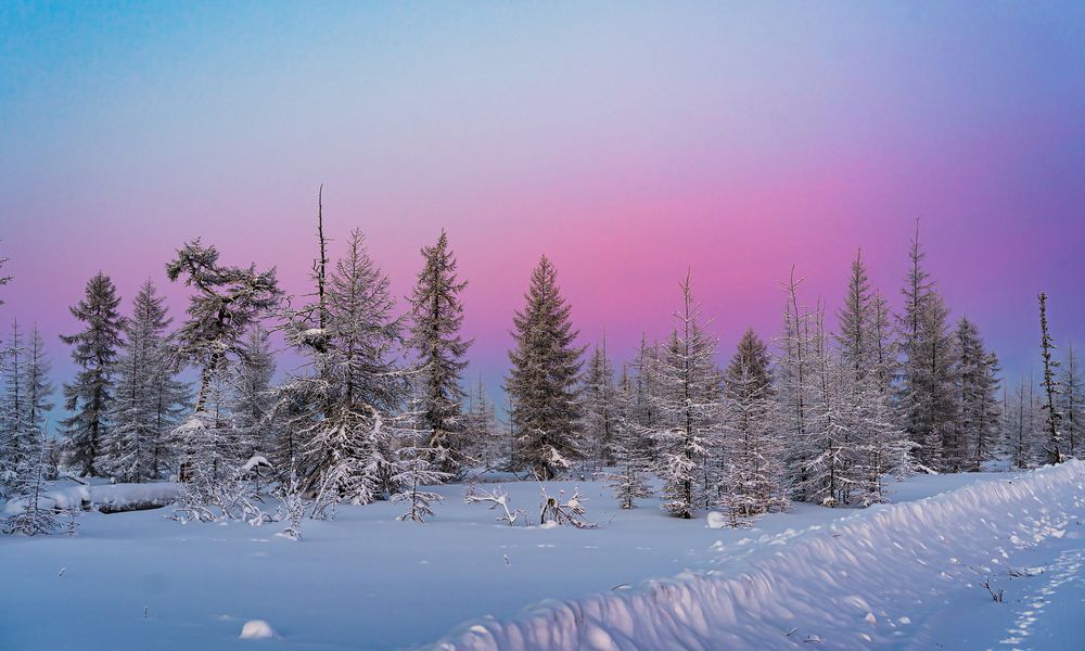 Photograph by Галина Искандарова