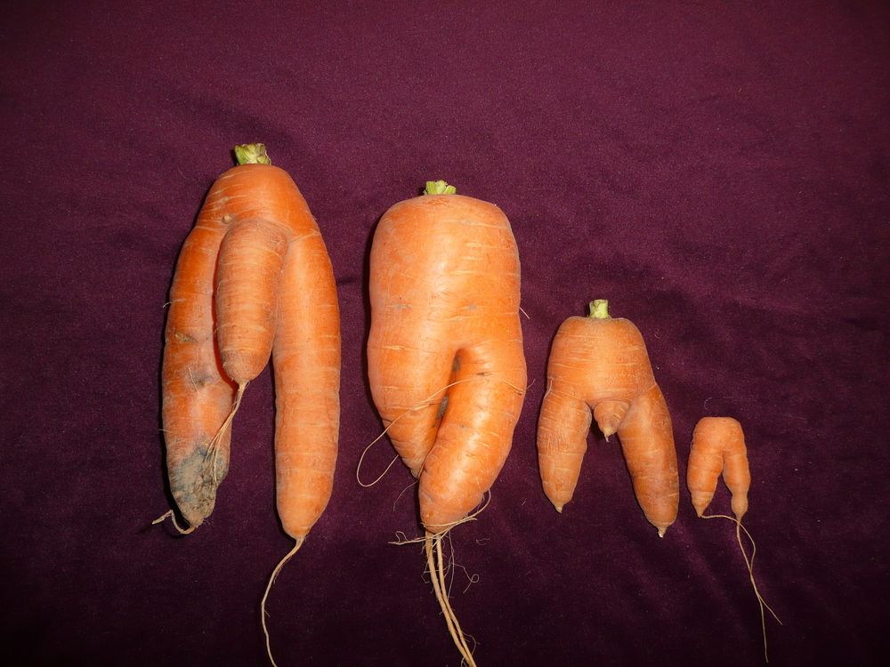 Photograph by Александр Бастраков