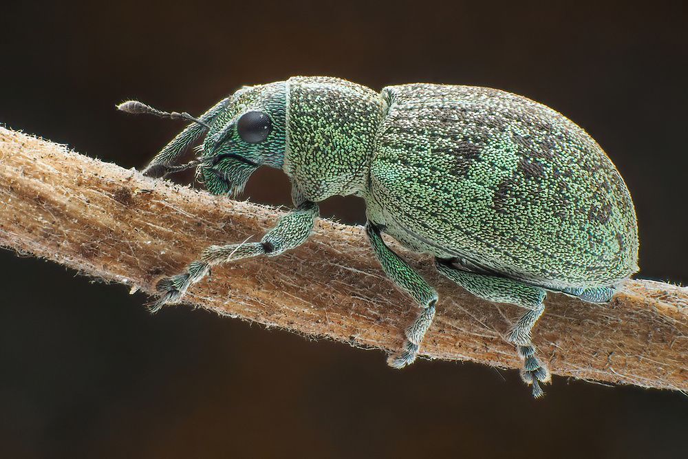 Photograph by Li Chen-You