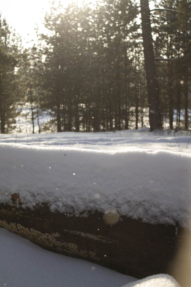 Photograph by Мария Бобылева