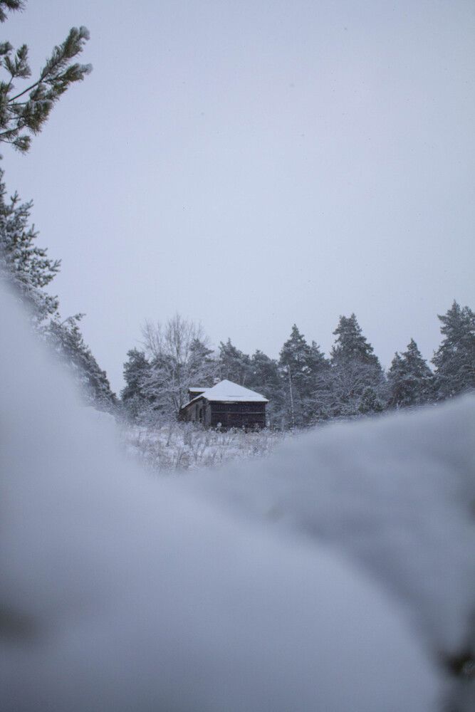 Photograph by Мария Бобылева