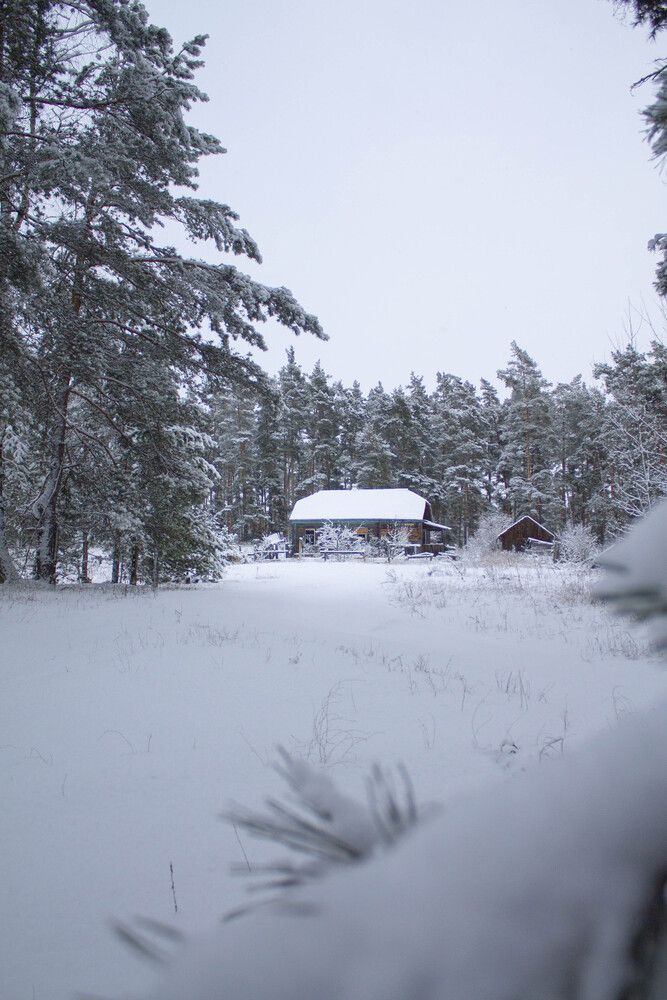 Photograph by Мария Бобылева
