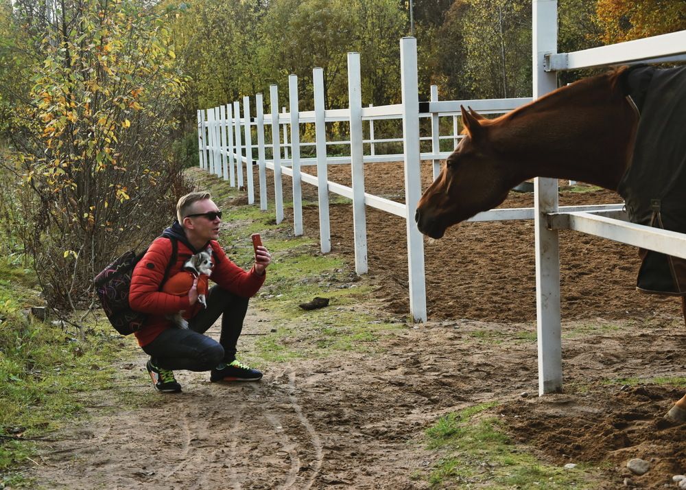 Photograph by Марина Колядина