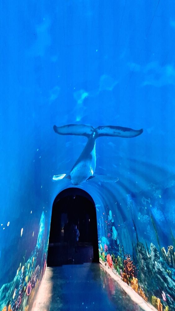 Photograph by Наталья Вялых