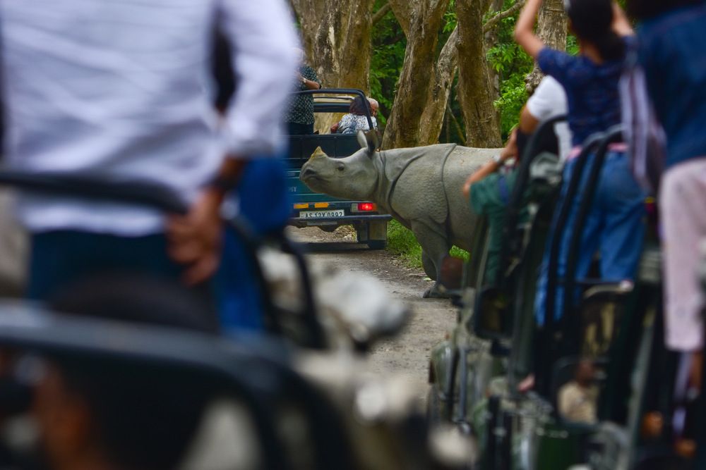 Photograph by SHIL ABHIJIT