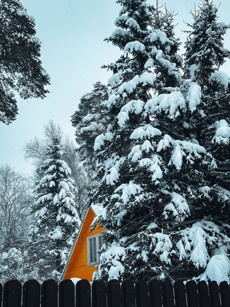 Photograph by Елена Брижеватая