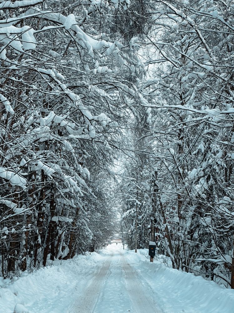 Photograph by Елена Брижеватая