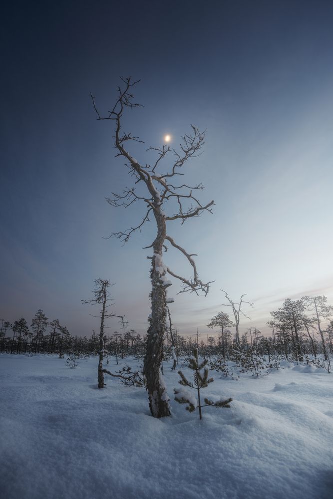 Photograph by Ivan Glinskiy