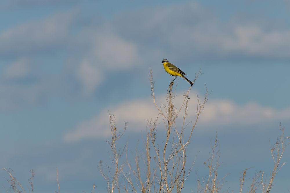 Photograph by Светлана Артюшина