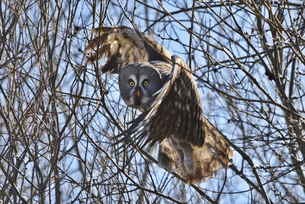 Photograph by Галина Катанова