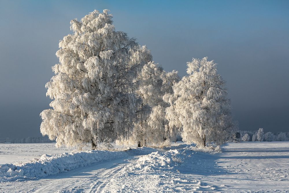 Photograph by Ivars Salmanis