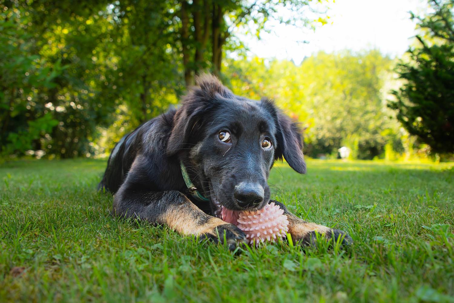 Photo #13147463