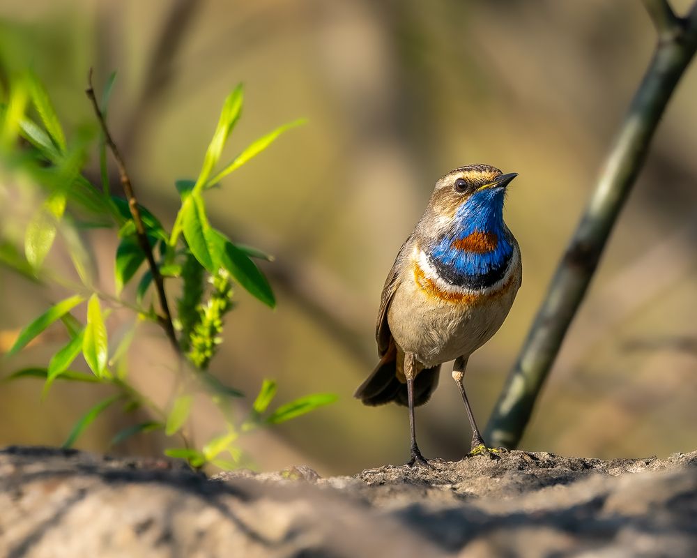 Photograph by Екатерина Дубровская